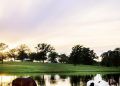 Horses grazing next to a pond during a business photography session for a Texas ranch